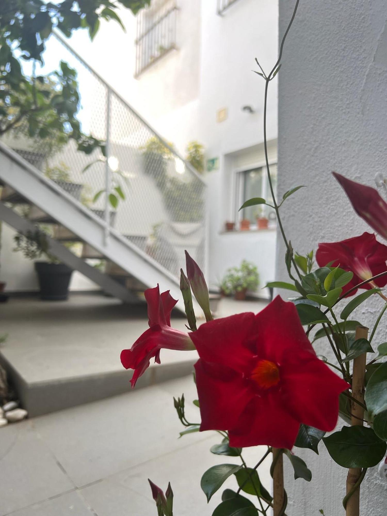 Chipibeach B&B, Hostal Boutique Чипиона Экстерьер фото